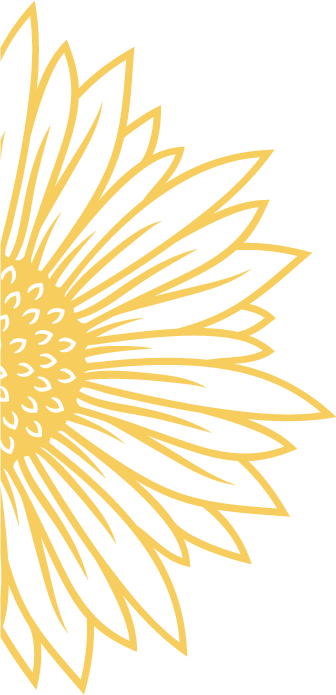 Half of a yellow hand drawn sunflower