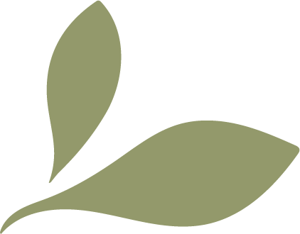 Two small green leaves
